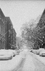 snow in NY10.jpg